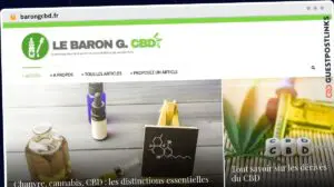 Publish Guest Post on barongcbd.fr