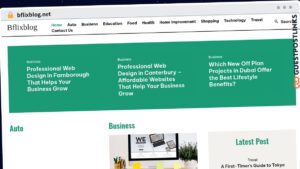 Publish Guest Post on bflixblog.net