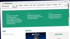 Publish Guest Post on bflixblog.net