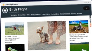 Publish Guest Post on birdsflight.com