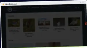 Publish Guest Post on birdsflight.com
