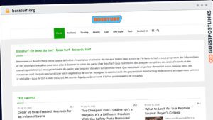 Publish Guest Post on bossturf.org