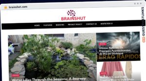 Publish Guest Post on brainshut.com