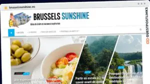 Publish Guest Post on brusselssunshine.eu