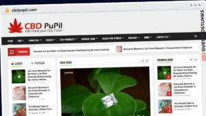 Publish Guest Post on cbdpupil.com