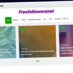Publish Guest Post on freefollowersnet.com