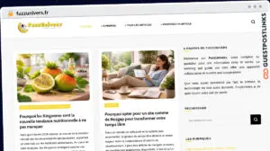 Publish Guest Post on fuzzunivers.fr