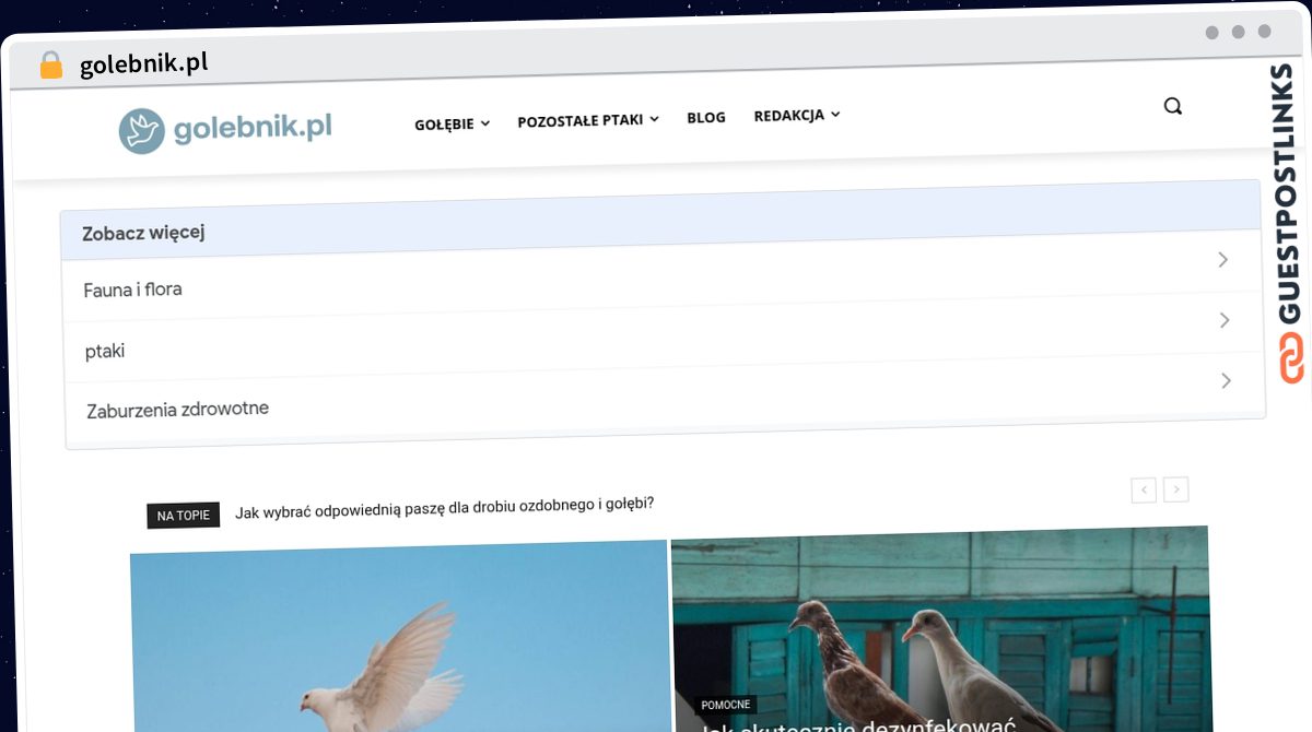 Publish Guest Post on golebnik.pl