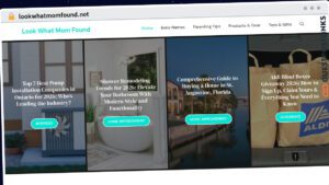 Publish Guest Post on lookwhatmomfound.net