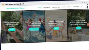 Publish Guest Post on lookwhatmomfound.net
