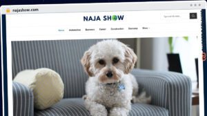 Publish Guest Post on najashow.com