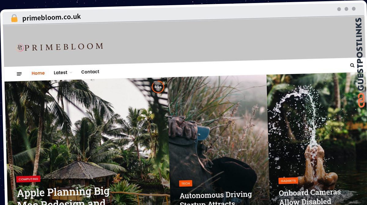 Publish Guest Post on primebloom.co.uk