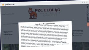 Publish Guest Post on pzlelblag.pl