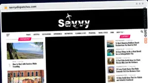 Publish Guest Post on savvydispatches.com