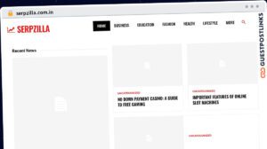 Publish Guest Post on serpzilla.com.in