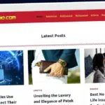 Publish Guest Post on superstarsbio.com