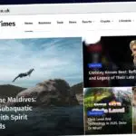 Publish Guest Post on themorningtimes.co.uk