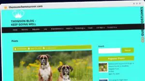 Publish Guest Post on thomsonchemmanoor.com