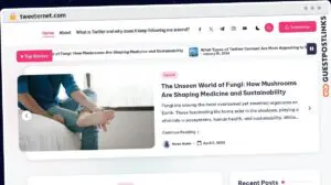 Publish Guest Post on tweeternet.com