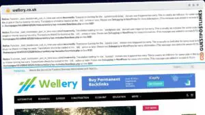 Publish Guest Post on wellery.co.uk