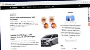 Publish Guest Post on alfiyaar.com