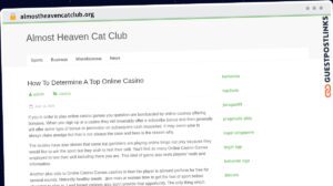 Publish Guest Post on almostheavencatclub.org