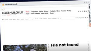Publish Guest Post on celebhub.co.uk
