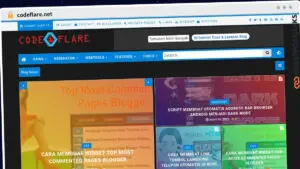 Publish Guest Post on codeflare.net