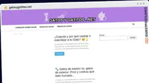 Publish Guest Post on gatosygatitos.net