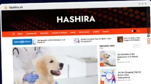 Publish Guest Post on hashira.us