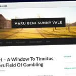 Publish Guest Post on marubenisunnyvale.com