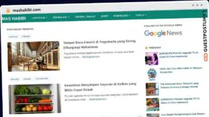 Publish Guest Post on mashabibi.com