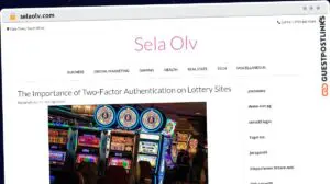 Publish Guest Post on selaolv.com