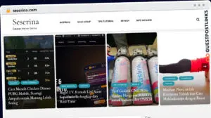 Publish Guest Post on seserina.com