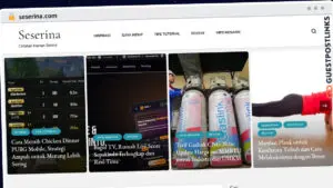 Publish Guest Post on seserina.com