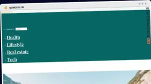 Publish Guest Post on spintires.in