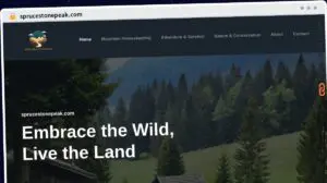 Publish Guest Post on sprucestonepeak.com