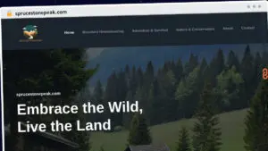 Publish Guest Post on sprucestonepeak.com
