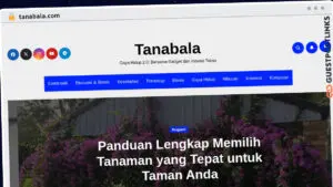 Publish Guest Post on tanabala.com