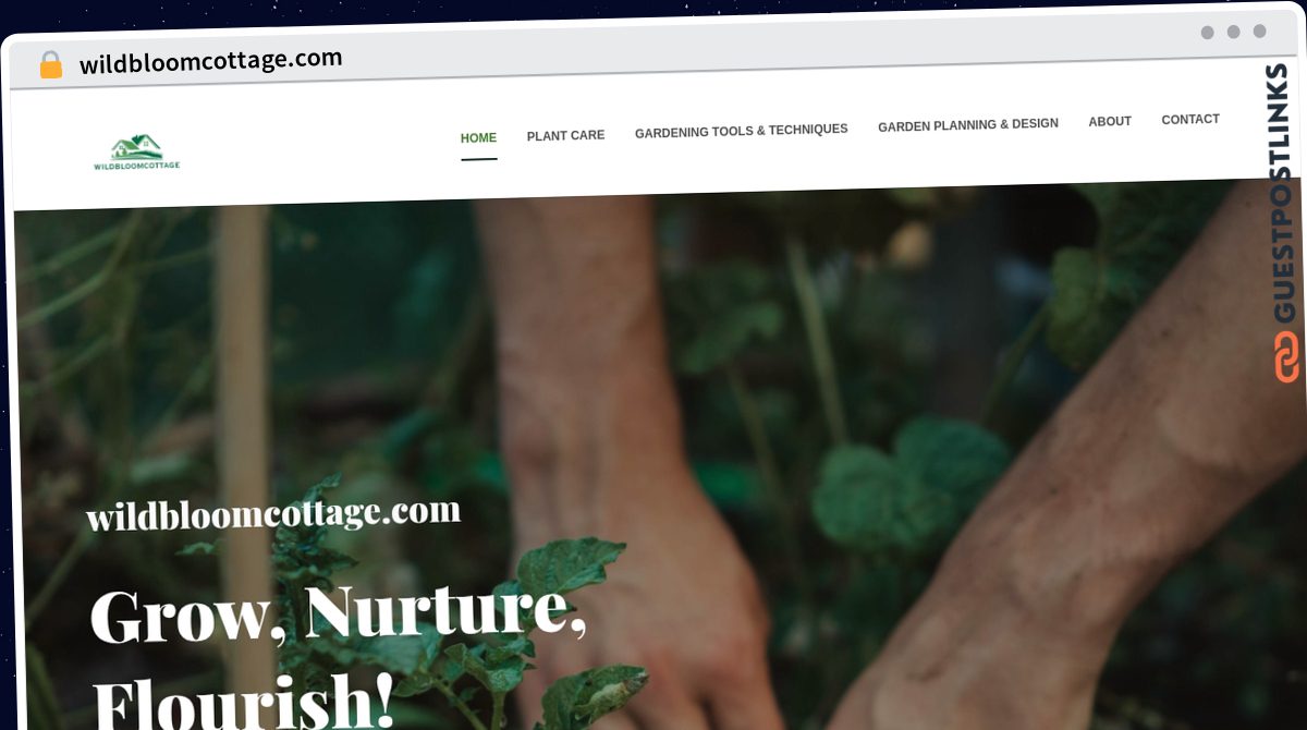 Publish Guest Post on wildbloomcottage.com