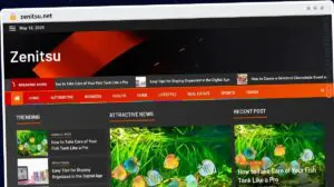 Publish Guest Post on zenitsu.net