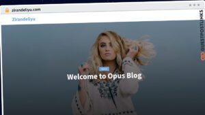 Publish Guest Post on zirandeliyu.com