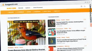 Publish Guest Post on bangparid.com