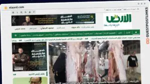 Publish Guest Post on elaard.com