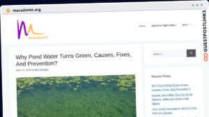 Publish Guest Post on macademic.org