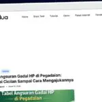 Publish Guest Post on neradua.com