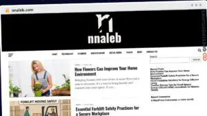 Publish Guest Post on nnaleb.com