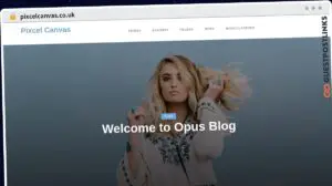 Publish Guest Post on pixcelcanvas.co.uk