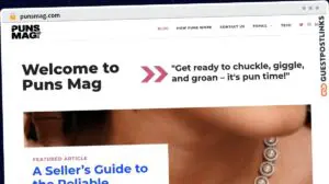Publish Guest Post on punsmag.com