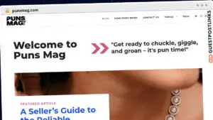 Publish Guest Post on punsmag.com